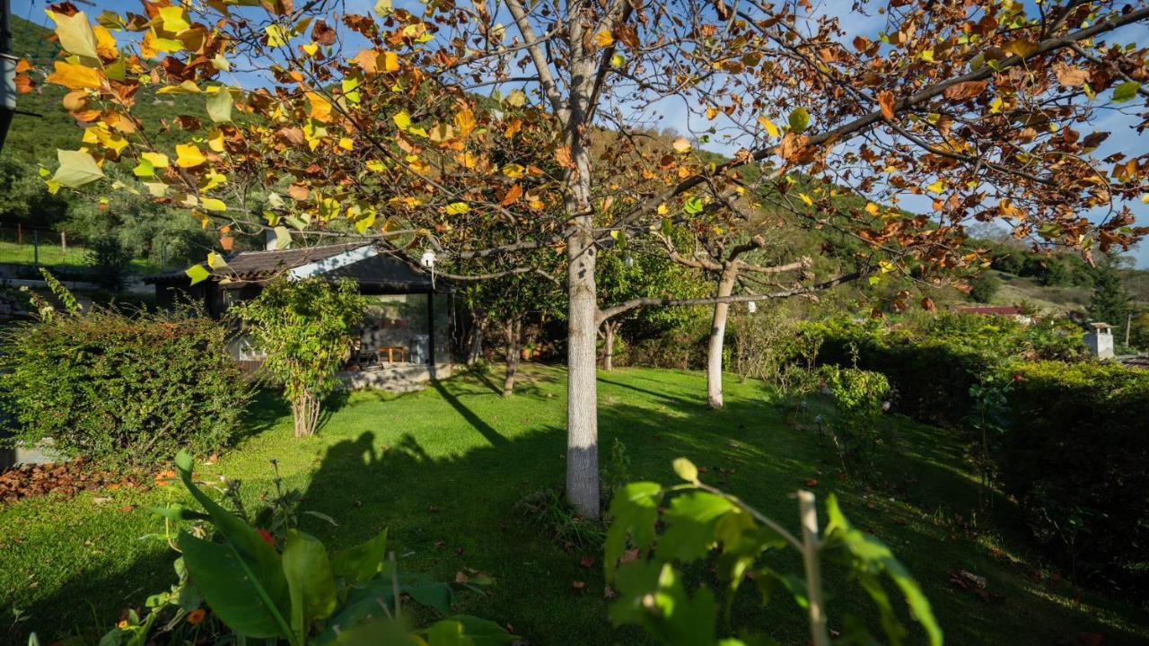 Lago Village House Kalampáka Ngoại thất bức ảnh